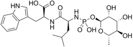 Skeletal formula of phosphoramidon