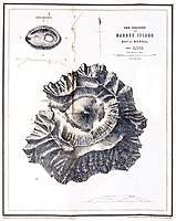 Topography of the island