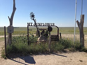 Vue du mont Sunflower.