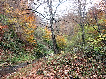 Nature on the road to the Shkhmurad Monastery