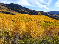 Fish Lake National Forest