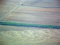 Swirling patterns on the ground produced by the passing of an F3 tornado.