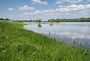 Zwischen Welsumerveld und Welsum, das Überschwemmungsgebiet von der IJssel