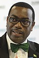 Banca africana di sviluppo Akinwumi Adesina, Presidente