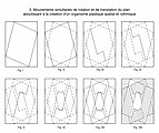 3. Simultaneous movements of rotation and translation of the plane resulting in the creation of a spatial and rhythmic plastic organism