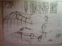 Les ailes de Léonard De Vinci.