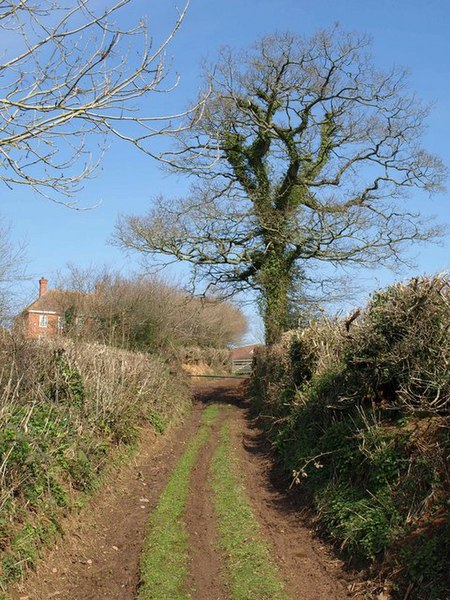 File:Cranishaies Lane - geograph.org.uk - 2322144.jpg