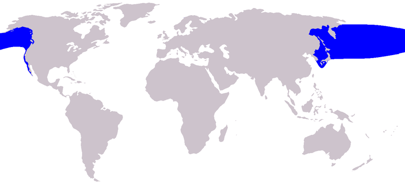 File:Eubalaena japonica range map.png