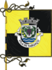 Flag of Tabuaço