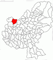 Location in Mureș County