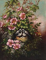 Illustration by Martin Johnson Heade