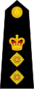 Colonel