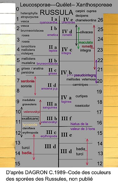 File:Code Dagron Sporées de Russules 1989 optimisé.jpg