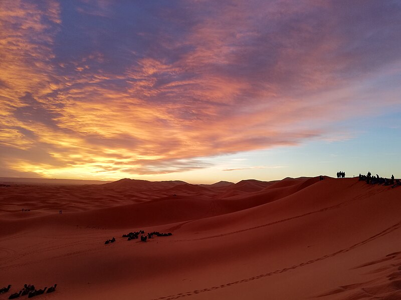 File:Moroccan Desert 28.jpg