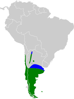 En verde donde se encuentra todo el año y el azul zonas de invernada