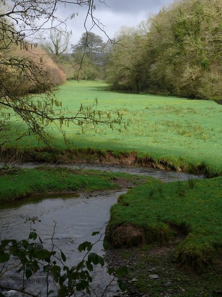 File:Field and Stream near Heasley Mill - geograph.org.uk - 738448.jpg