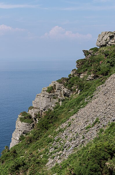 File:Cliffs - geograph.org.uk - 6004366.jpg