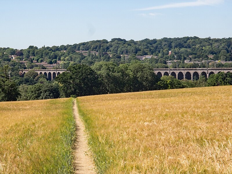 File:Digswell , Welwyn Railway Viaduct - geograph.org.uk - 6554256.jpg