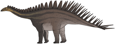 Dacentrurus