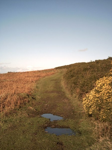 File:Holdstone Down - geograph.org.uk - 106550.jpg