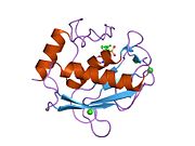 1rmz: Crystal structure of the catalytic domain of human MMP12 complexed with the inhibitor NNGH at 1.3 A resolution