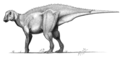 Gryposaurus