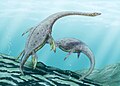 Ang mga tulad ng Plesiosaurong Muraenosaurus ay gumala sa mga karagatang Jurassic.