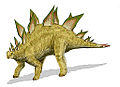 Ang Stegosaurus ang isa sa pinaka makikilalang henera ng mga dinosauro at namuhay mula gitna hanggang Huling Jurassic.