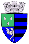 Wappen von Băicoi