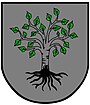 Birkfeld – znak