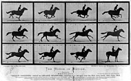 Fra den engelske fotografen Eadweard Muybridges The Horse in Motion.