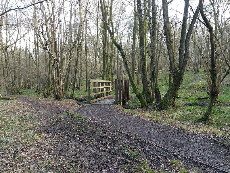 File:Bridge on bridleway towards Balcombe - geograph.org.uk - 6092279.jpg