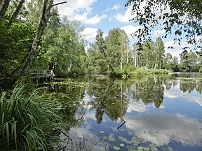 Weiher am Riedlehrpfad