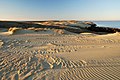 Grey dunes in Neringa