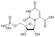 Orotidín-5'-monofosfát