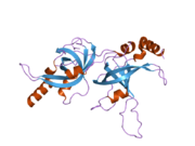 2i46: Crystal structure of human TPP1