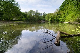 Prospect Park New York May 2015 008.jpg