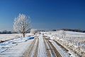 Frosted fields