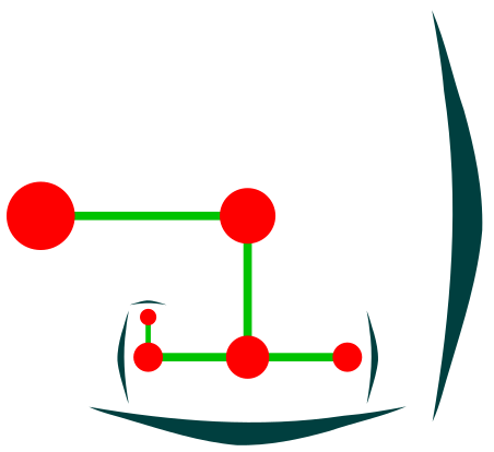 File:Schraubel (top view) (inflorescence).svg