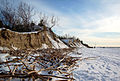 Destroyed dunes in Palanga