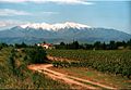 Da Canigou, vo Perpignan aus gseng