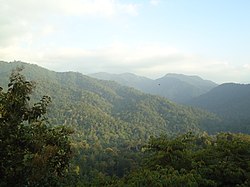 Sabarimala