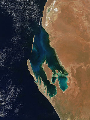 Satellitfoto över Shark Bay