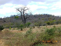 Landscape in Moatize