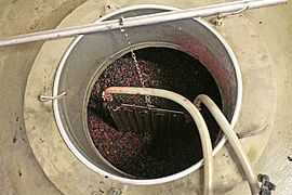 Raisin rouge en cours de fermentation