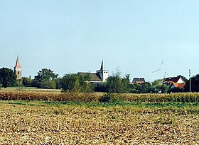 Minfeld