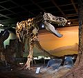 "Black Beauty" at NRM in Stockholm.