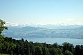 Lake Zurich Zürichsee