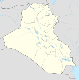 Amara (Irak)