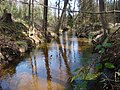 Der Kanal zur Luttermühle